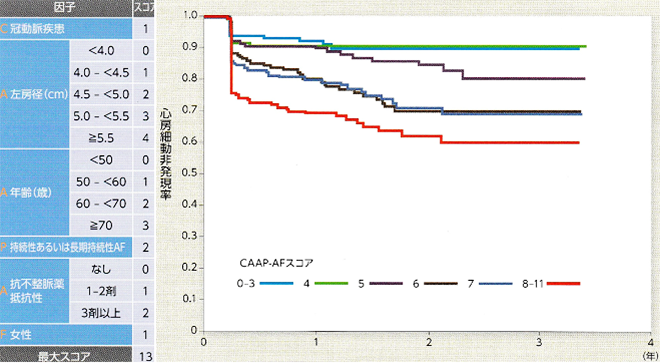 スコア別に見たアブレーション後の心房細動非再発率